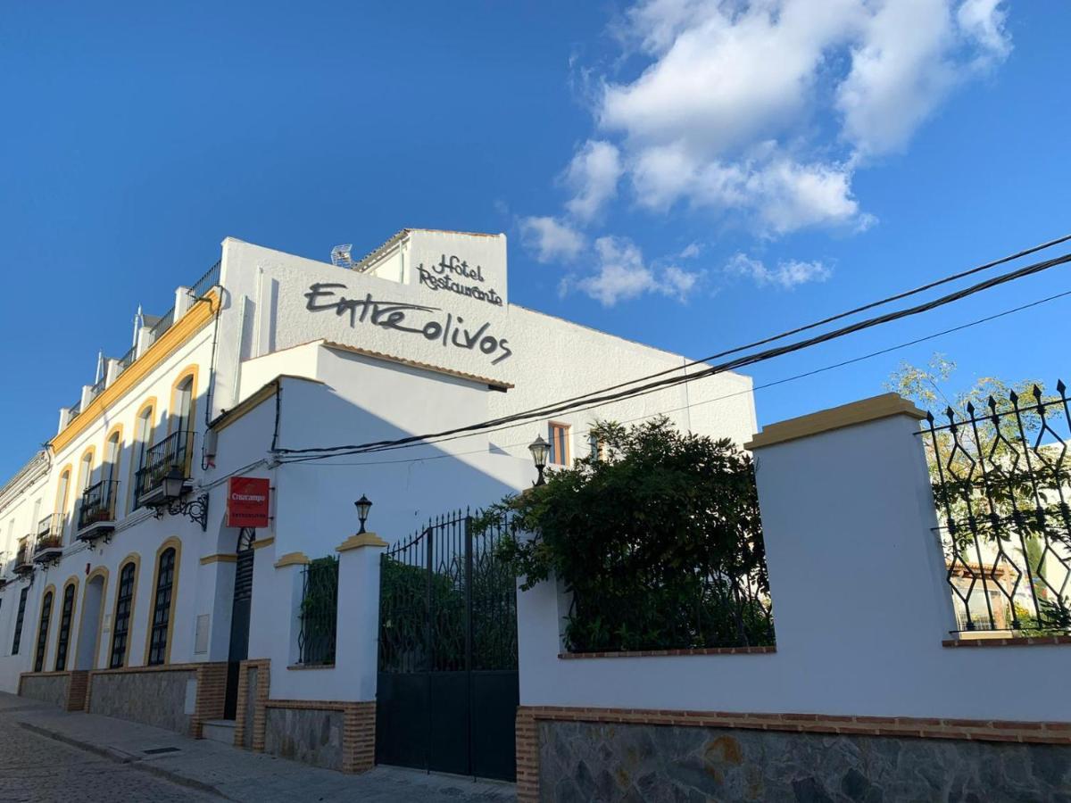 Hotel Entreolivos El Pedroso Bagian luar foto