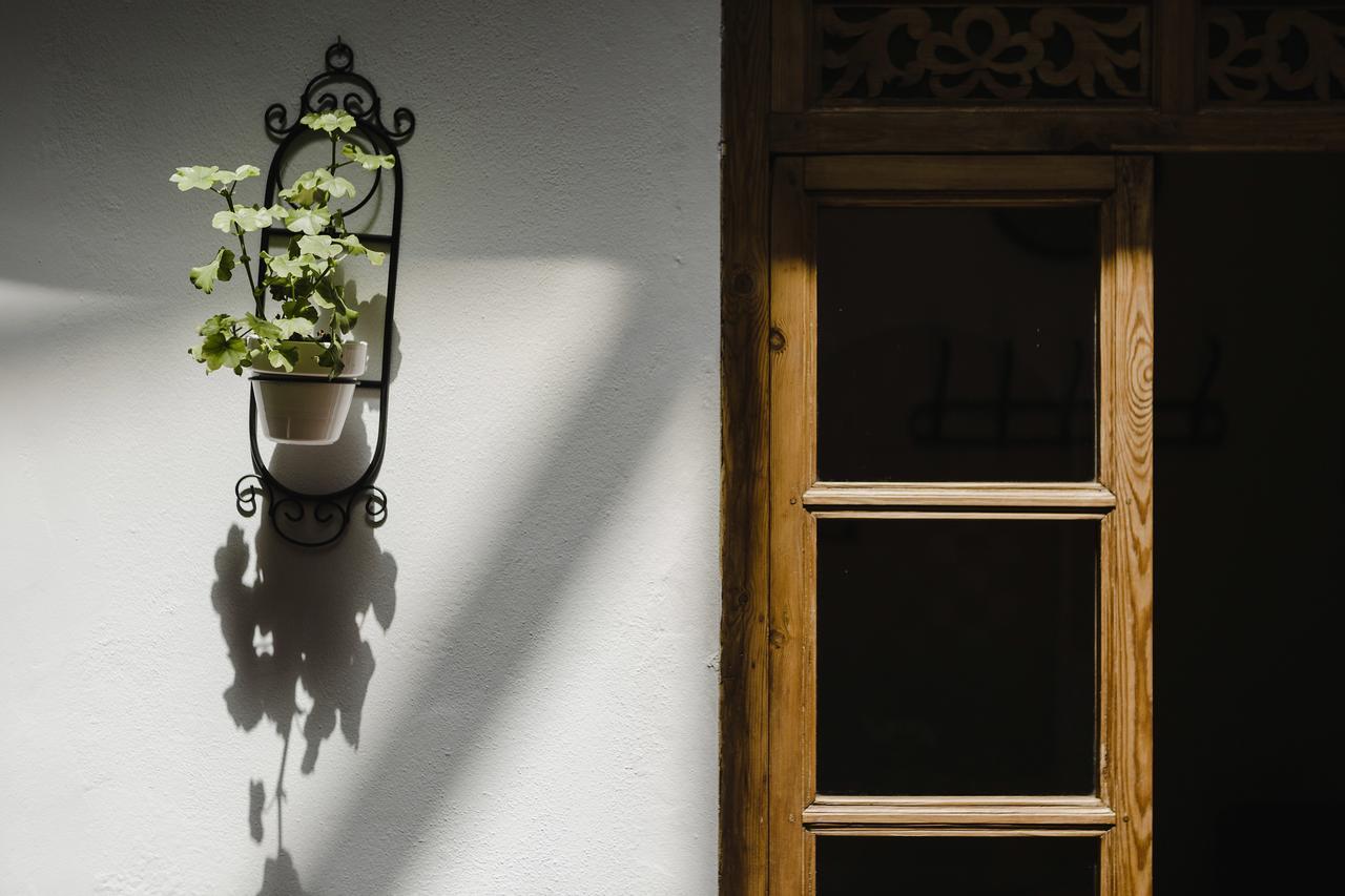 Hotel Entreolivos El Pedroso Bagian luar foto