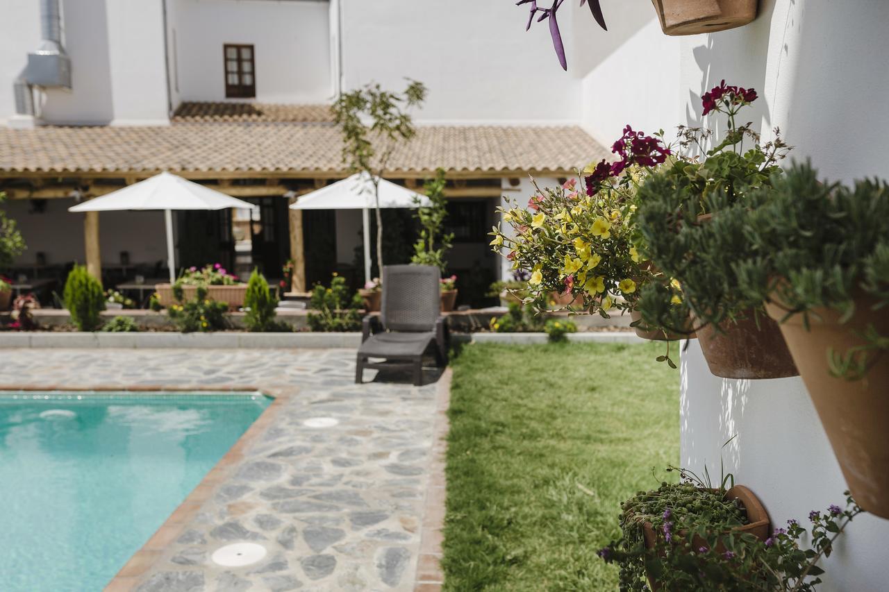 Hotel Entreolivos El Pedroso Bagian luar foto